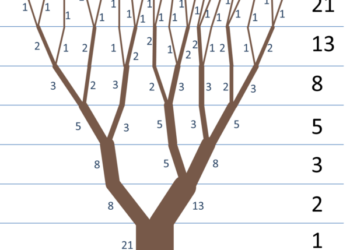 प्रकृति में फ़िबोनाची: अद्भुत गणितीय पैटर्न के 7 अनोखे उदाहरण