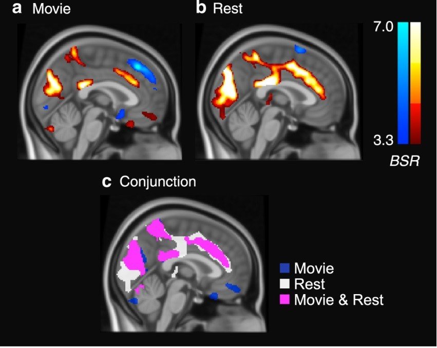 Spontaneous thought and attention regions distinguish transitions from meta-stability